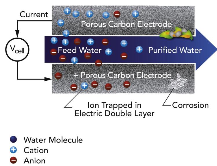 membrane schematic