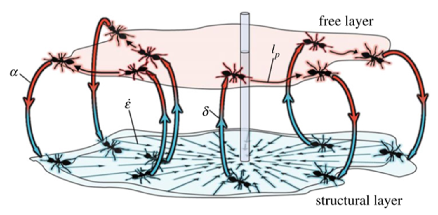 Ant Raft Treadmilling