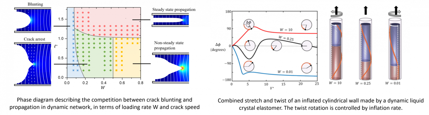 dynamic polymers