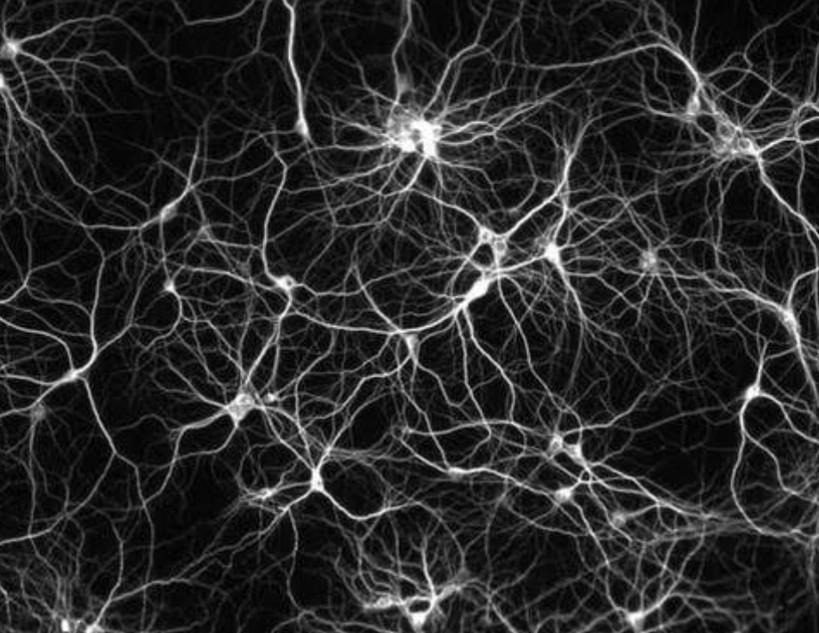 Complex network
