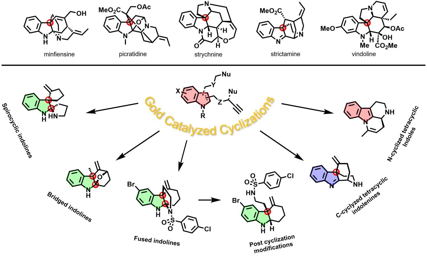 Diversity oriented synthesis