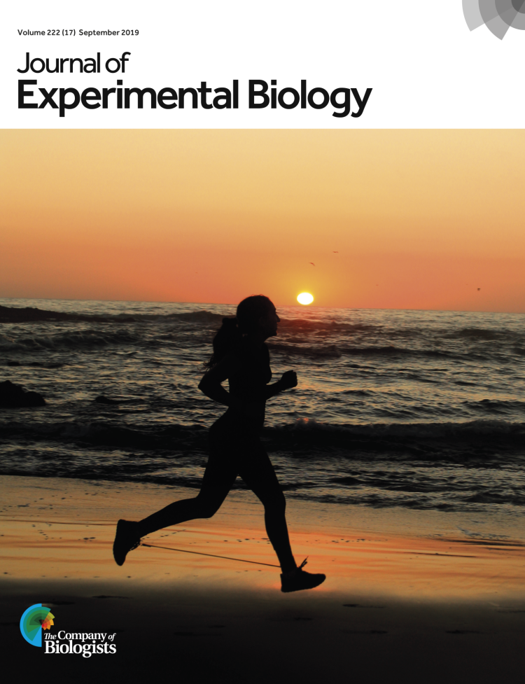 Journal of Experimental Biology showing a runner wearing an exotendon