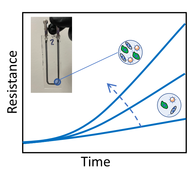 Article Published in Advanced Science | BEEM Lab | University of ...