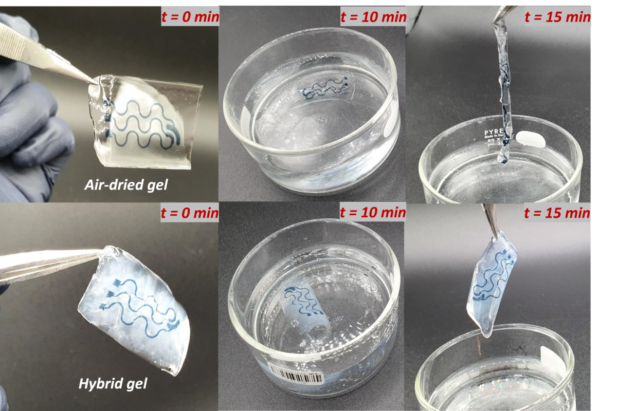 gels