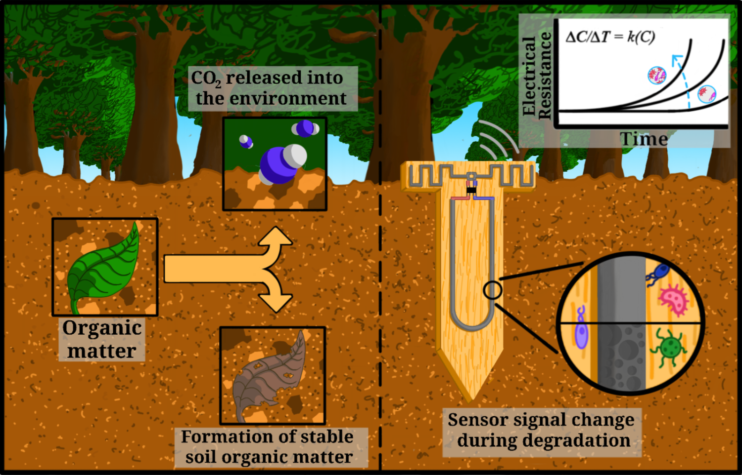 Advanced Science Paper Overview Figure