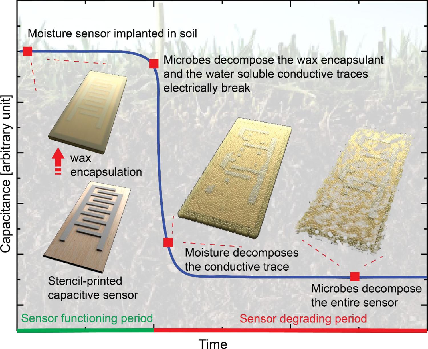 moisture sensor