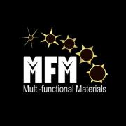 MFM IRT logo