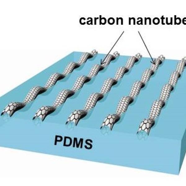 carbon nanotube buckling