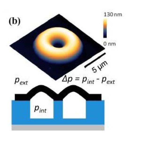 graphene blister process