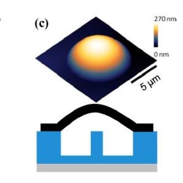 graphene blister process completion