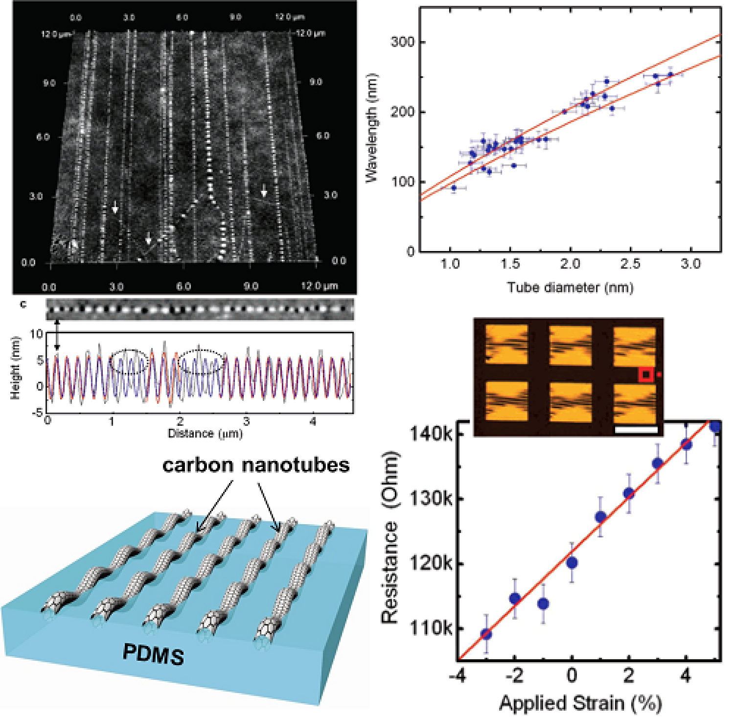 carbon nanotude graphs