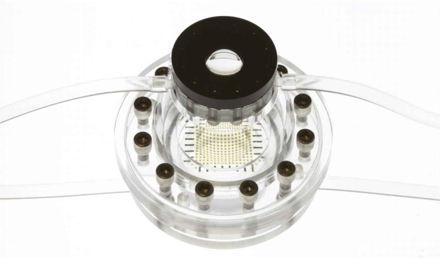Eyeball Camera