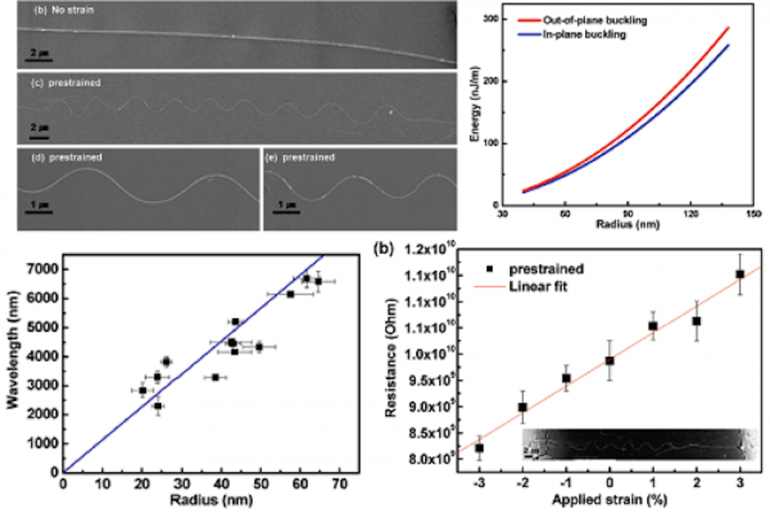 Nanowire Buckling
