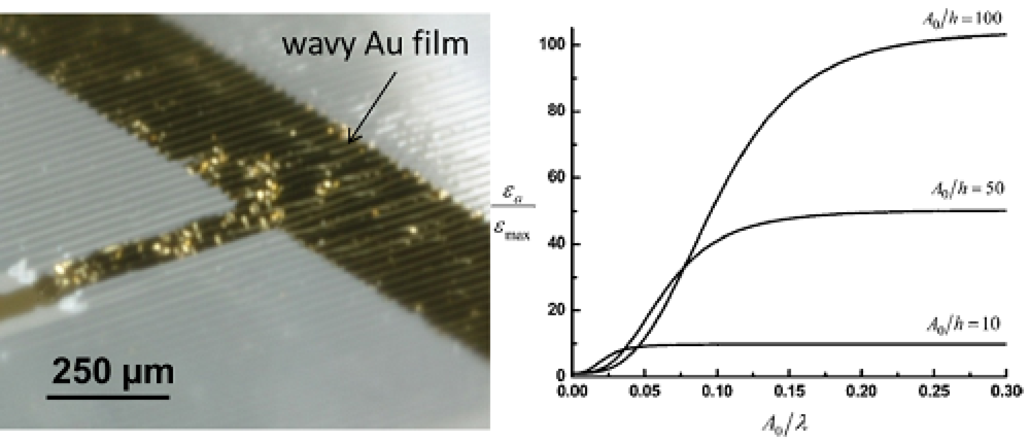 Au thin films on elastomeric substrates of polydimethylsiloxane that are designed with sinusoidal, “wavy” features.