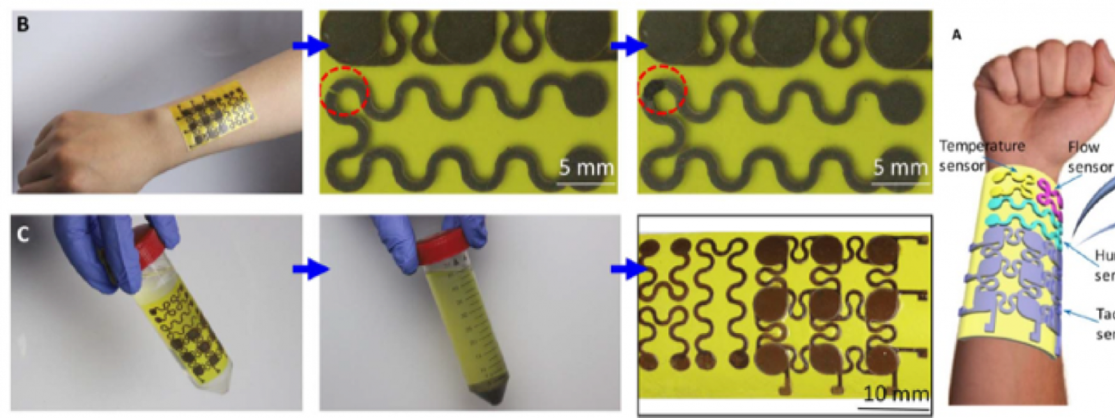 Rehealable, Recyclable, and Malleable Electronic Skin