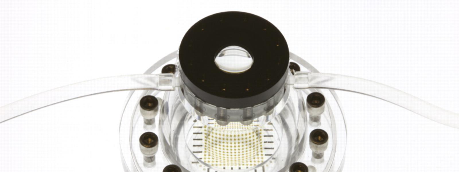Tunable Eyeball Cameras With Zoom