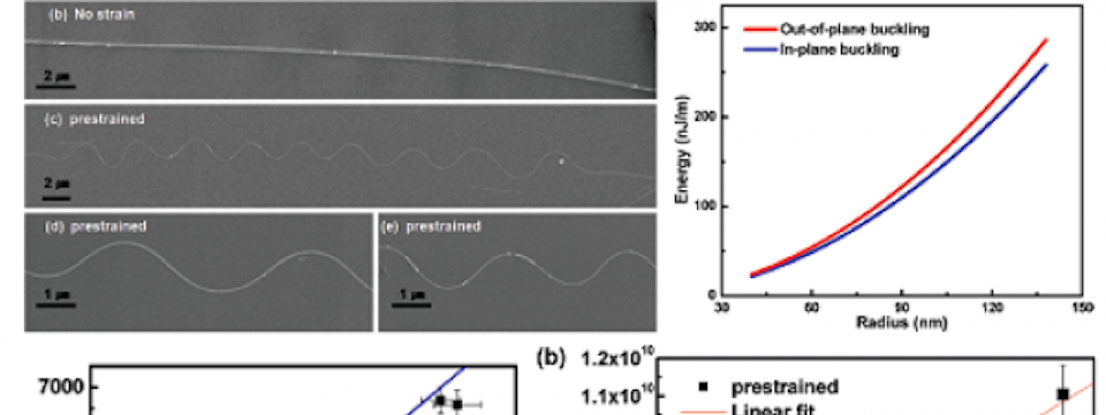 In-plane Buckling of Silicon Nanowires on Elastomers