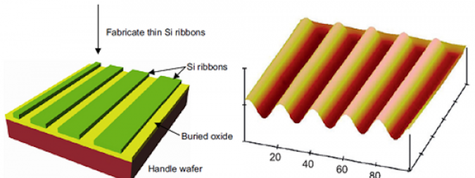 Nonlinear Buckling of Silicon Ribbons on Elastomers