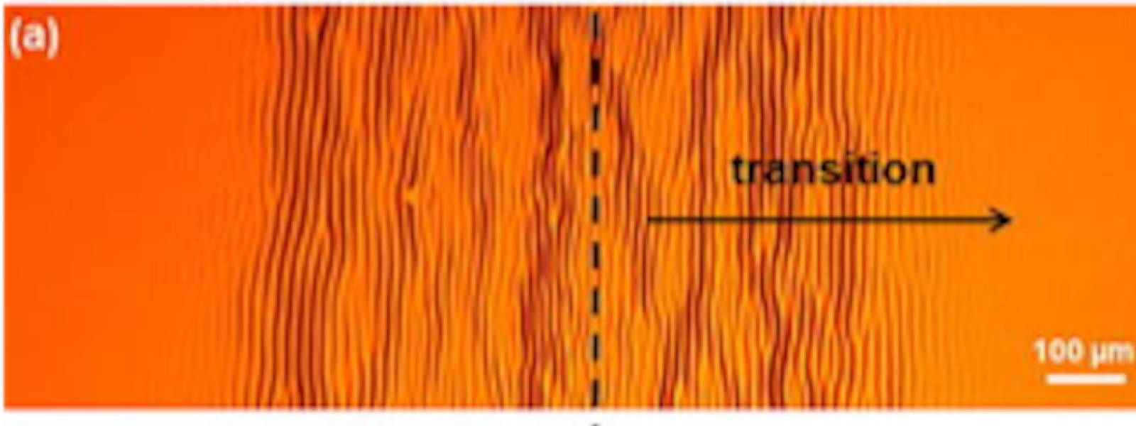 Thin Films on Shape Memory Polymers