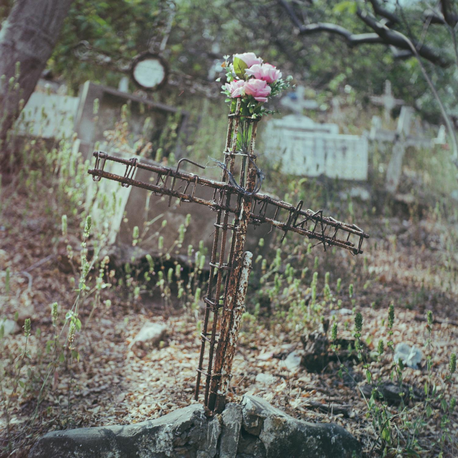 flores