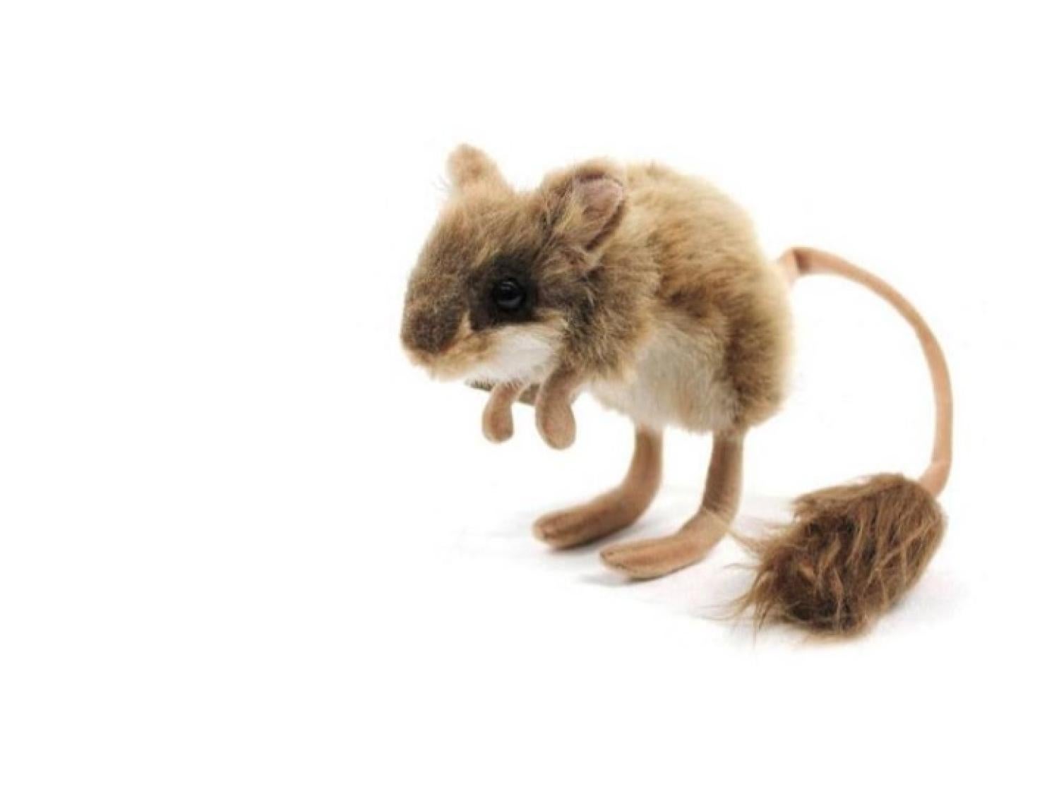 Mouse