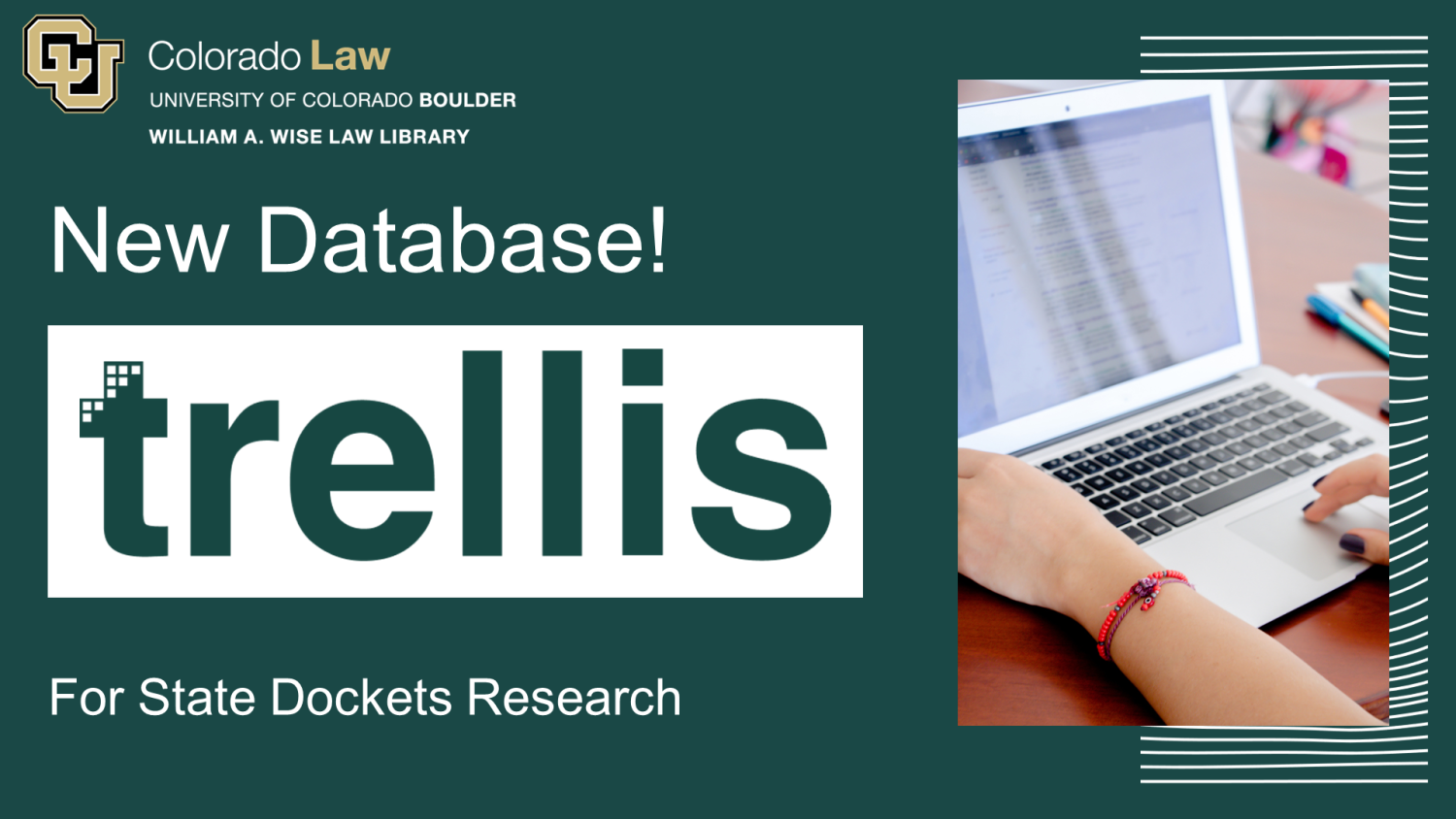 card reading: "New database trellis for state dockets research"