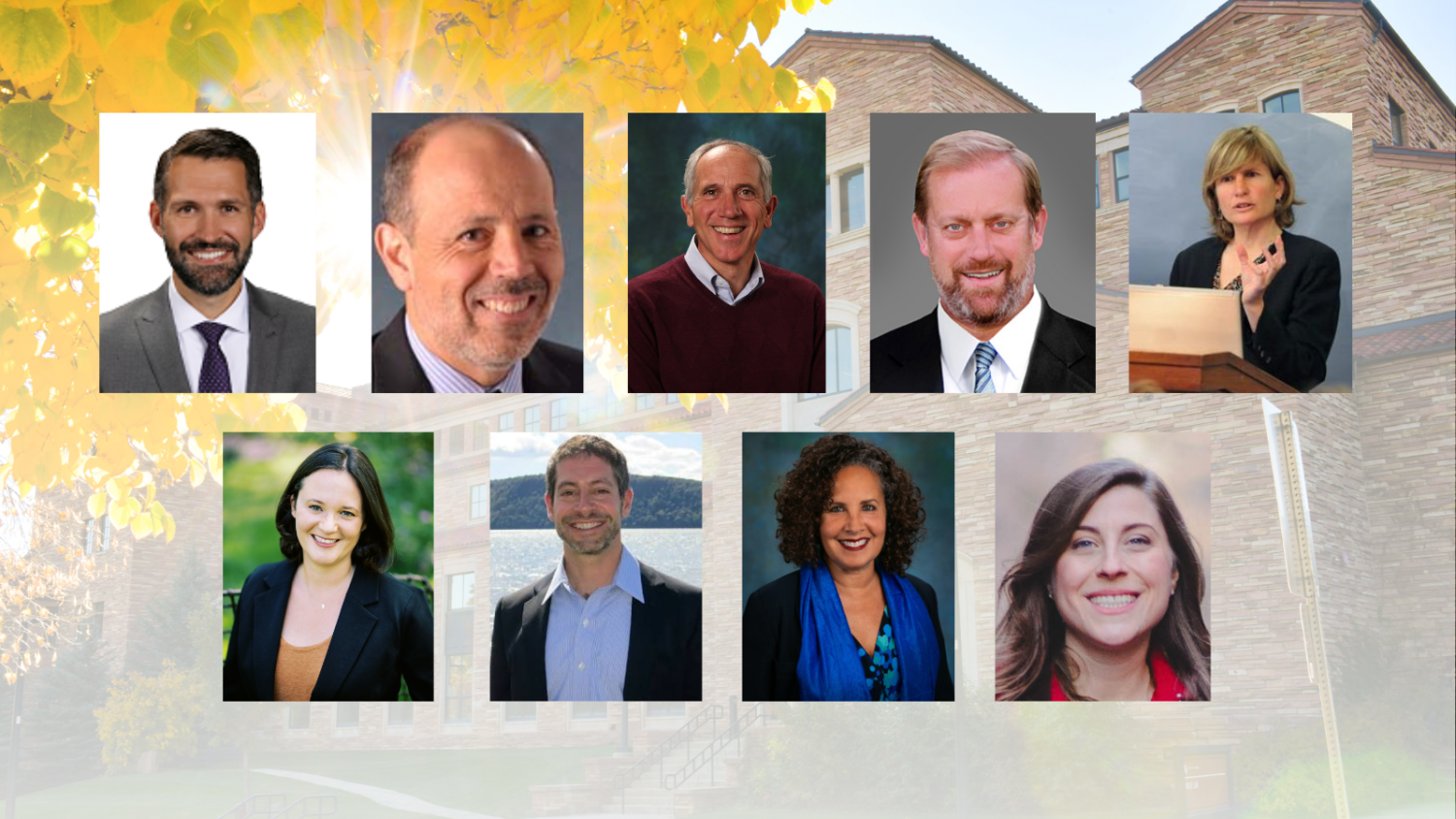faculty publications
