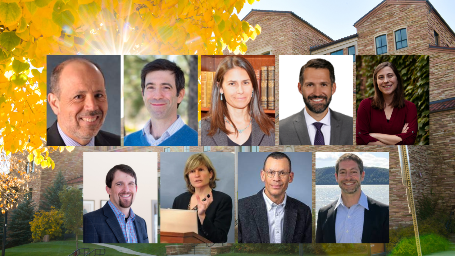 faculty publications