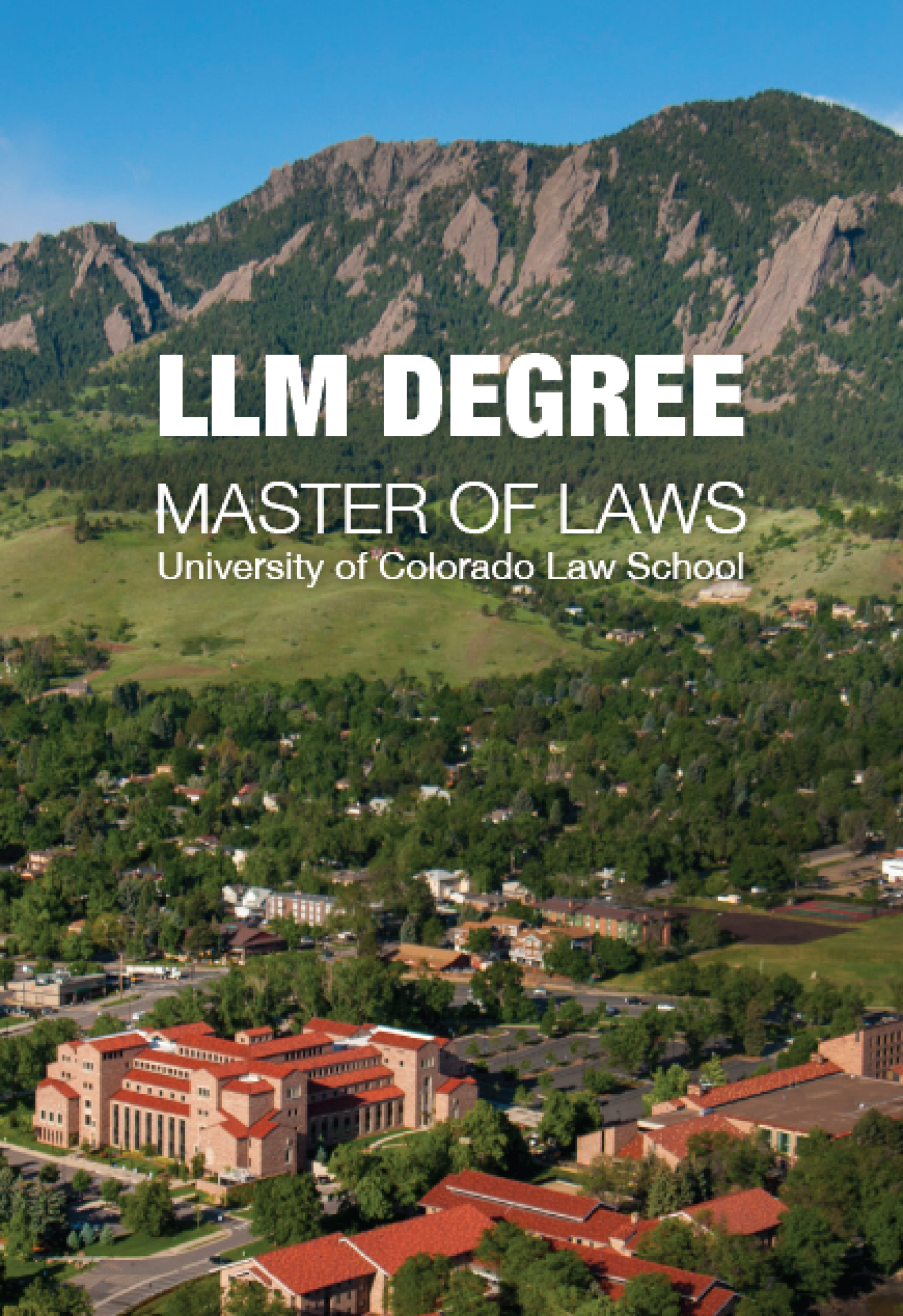 LLM