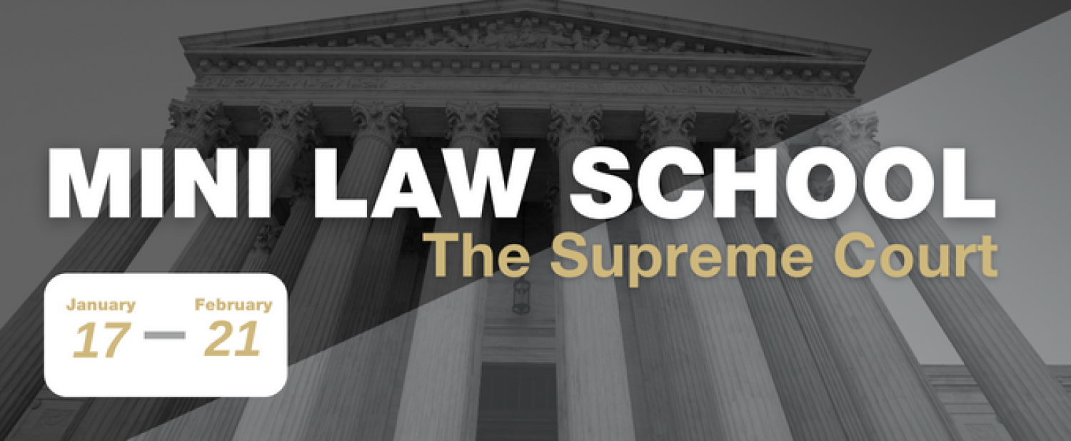 mini law school