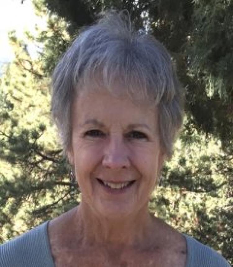 Anne Castle