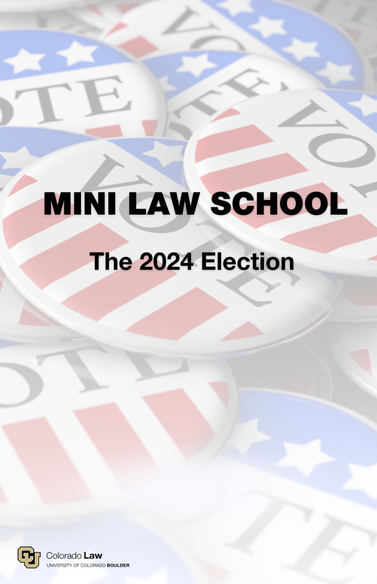 mini law school
