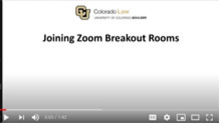 Image for link to breakout rooms recording