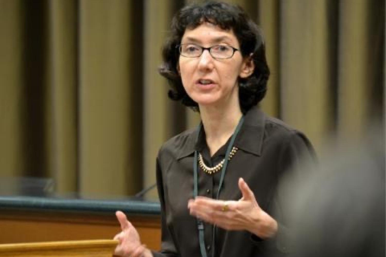 professor Ann Lipton