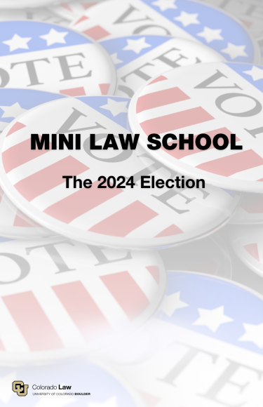 mini law school 
