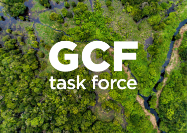 GCF Task Force logo