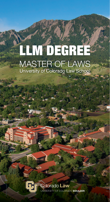 LLM Cover