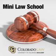 Mini Law School