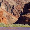 colroado river