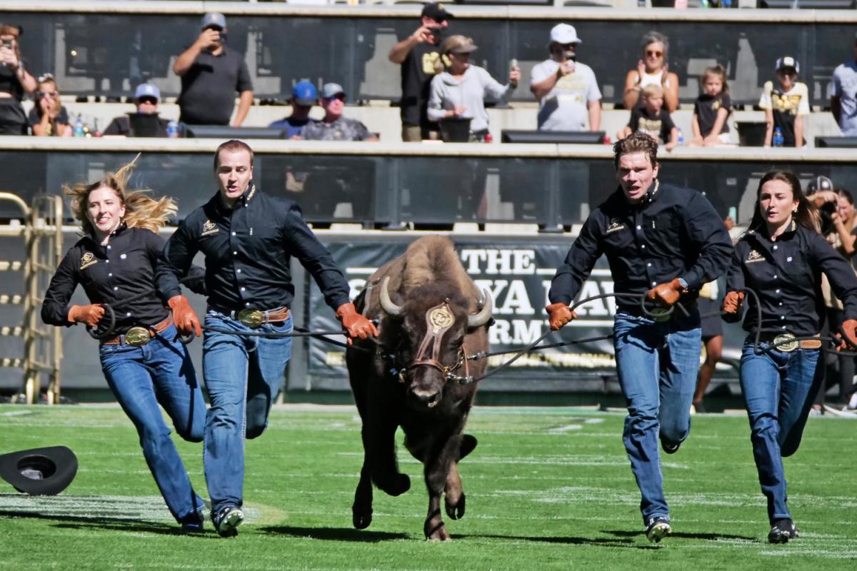 Ralphie runners running with Ralphie