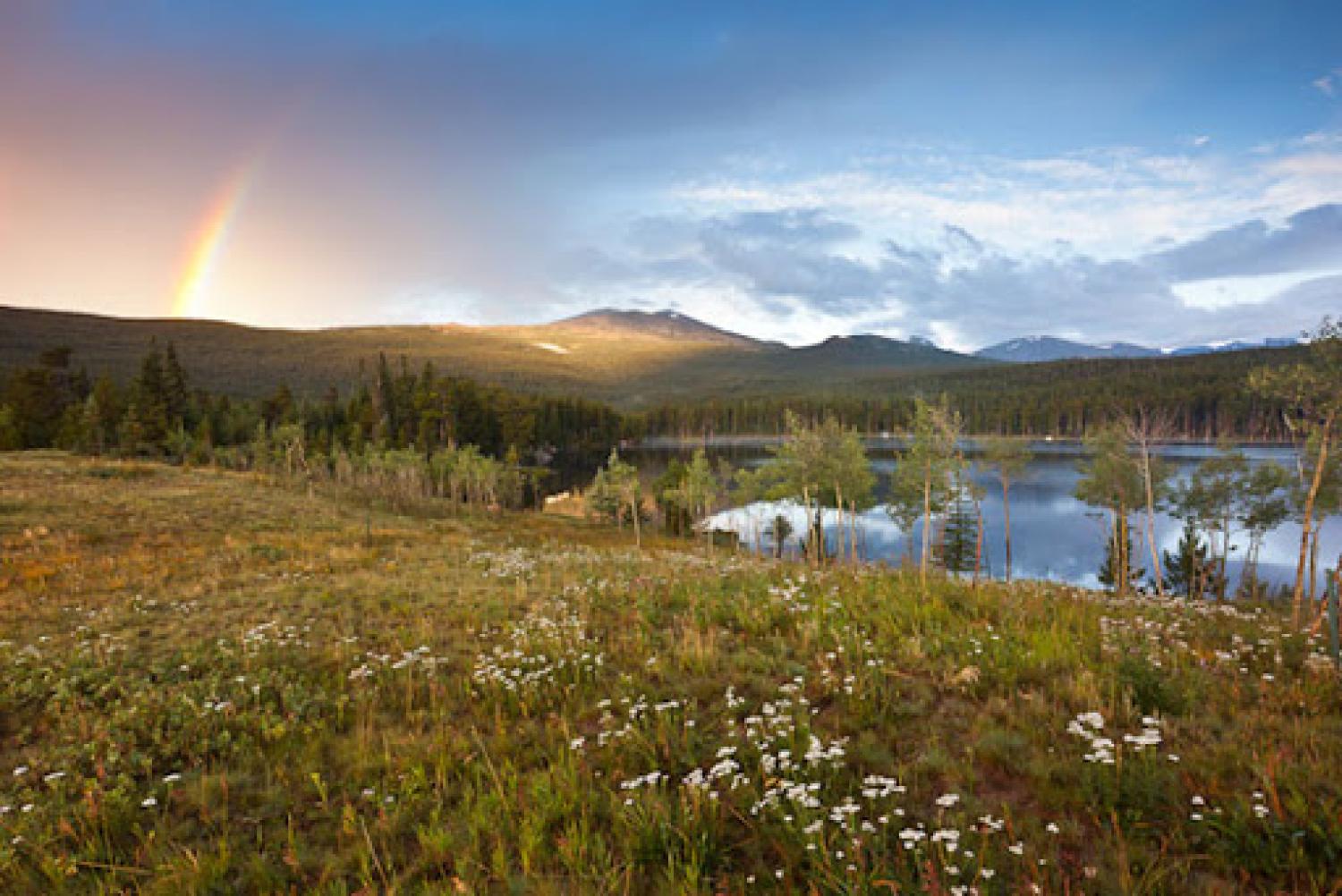 Stapp Lakes Ranch Landscape Photo