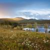 Stapp Lakes Ranch Landscape Photo