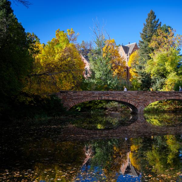 www.colorado.edu