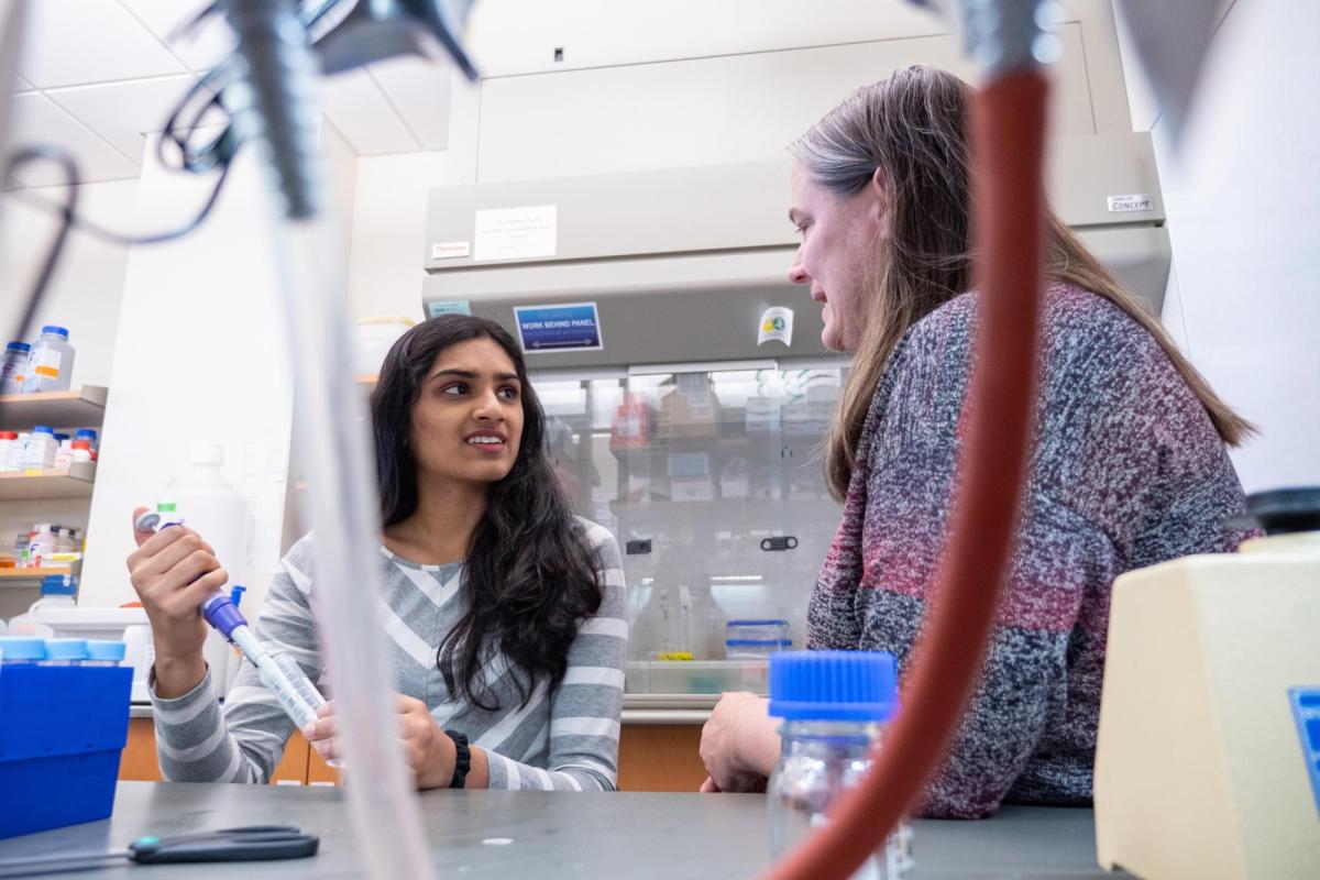 a CDI SMART program student and professor working together in a lab
