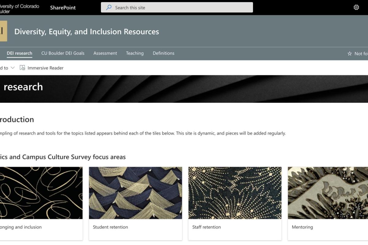 DEI Resource hub screen shot