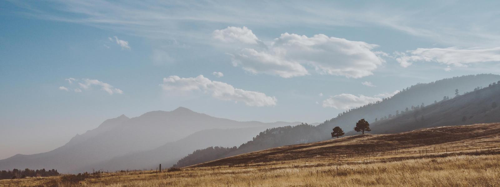 Field of grass with mountains in background
