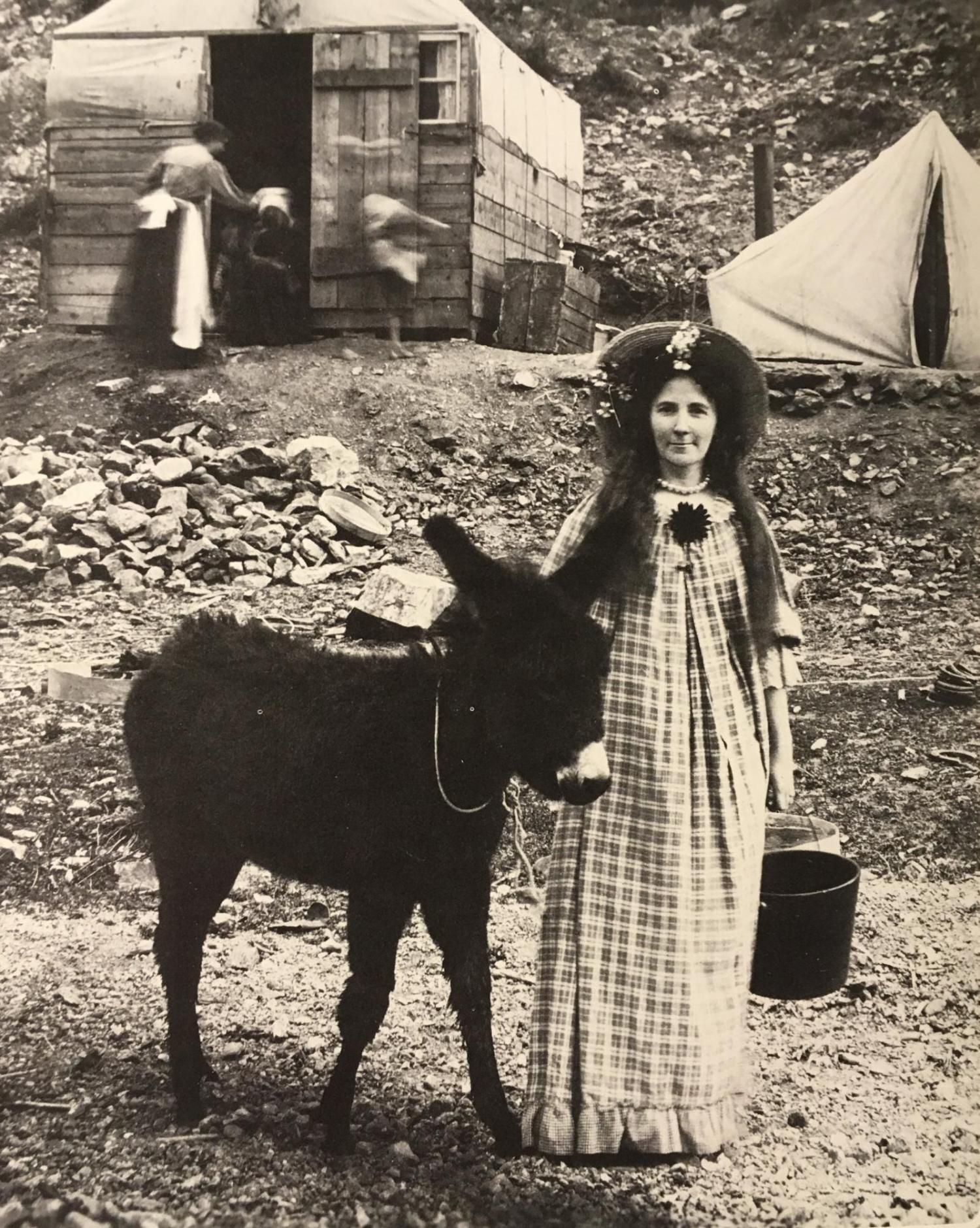 Lachlan McLean photograph of a pioneer woman with a burro in 19th century Clear Creek County