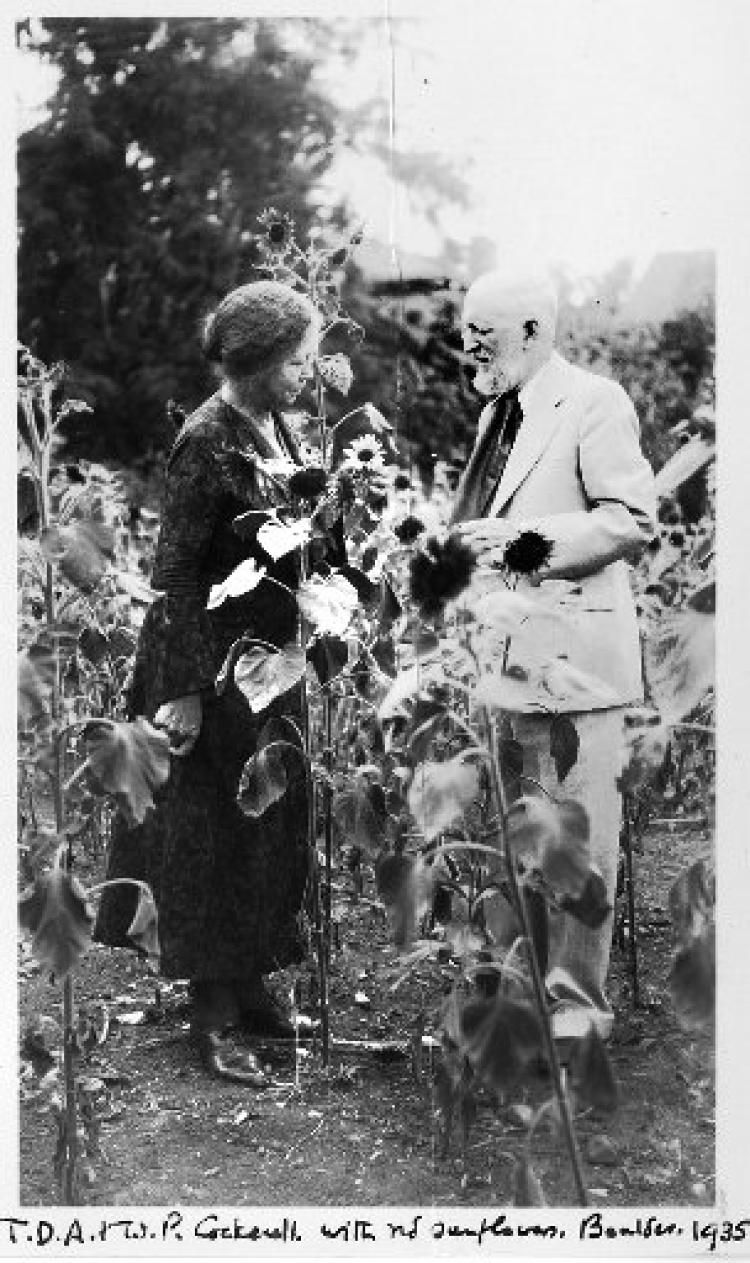Willmatte Cockerell and T. D. Cockerell in their Boulder garden, 1935