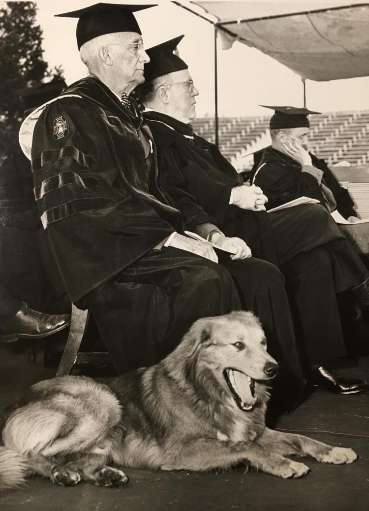 Graduation 1951 shows a dog yawning and faculty in robes struggling to stay awake.