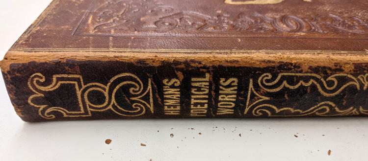 Book spine with red rot